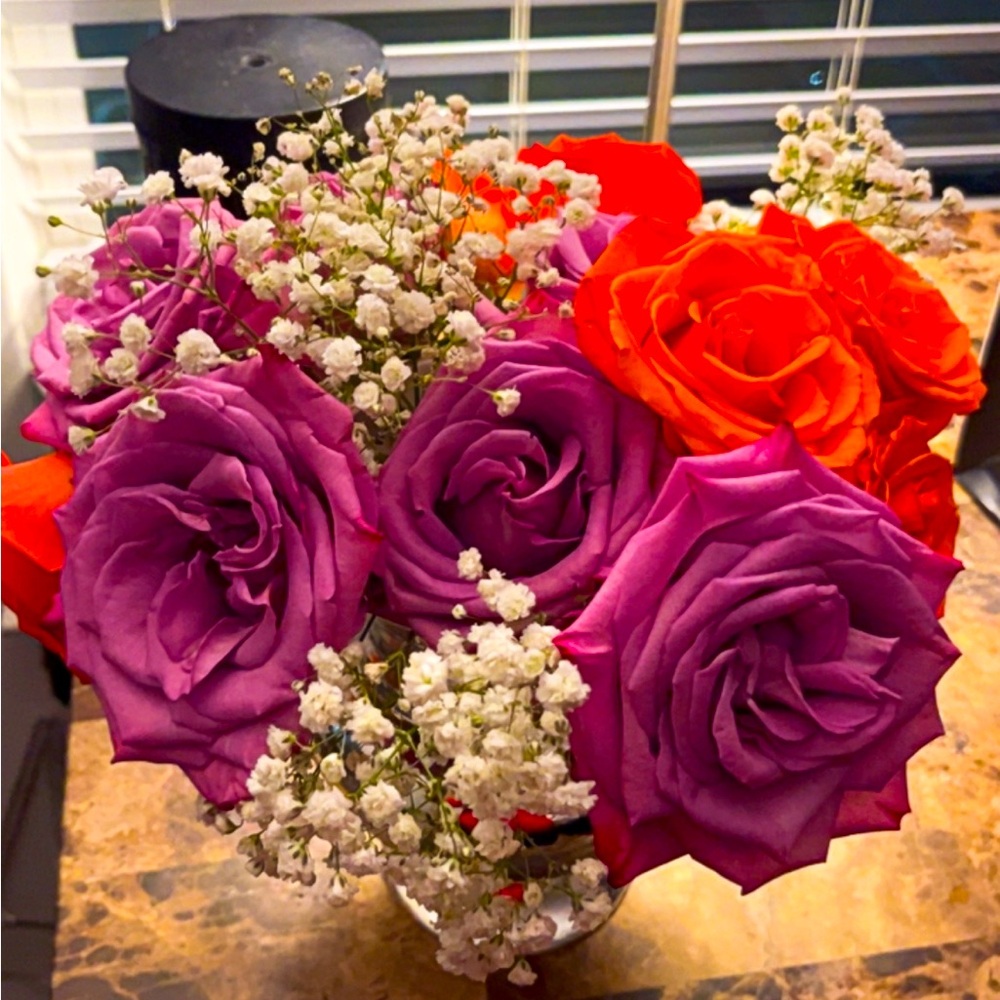 Meet your Posher, Rose